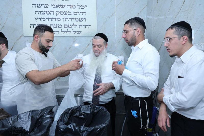 נועם אליהו