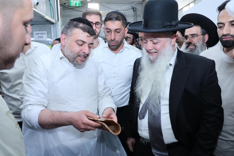 נועם אליהו