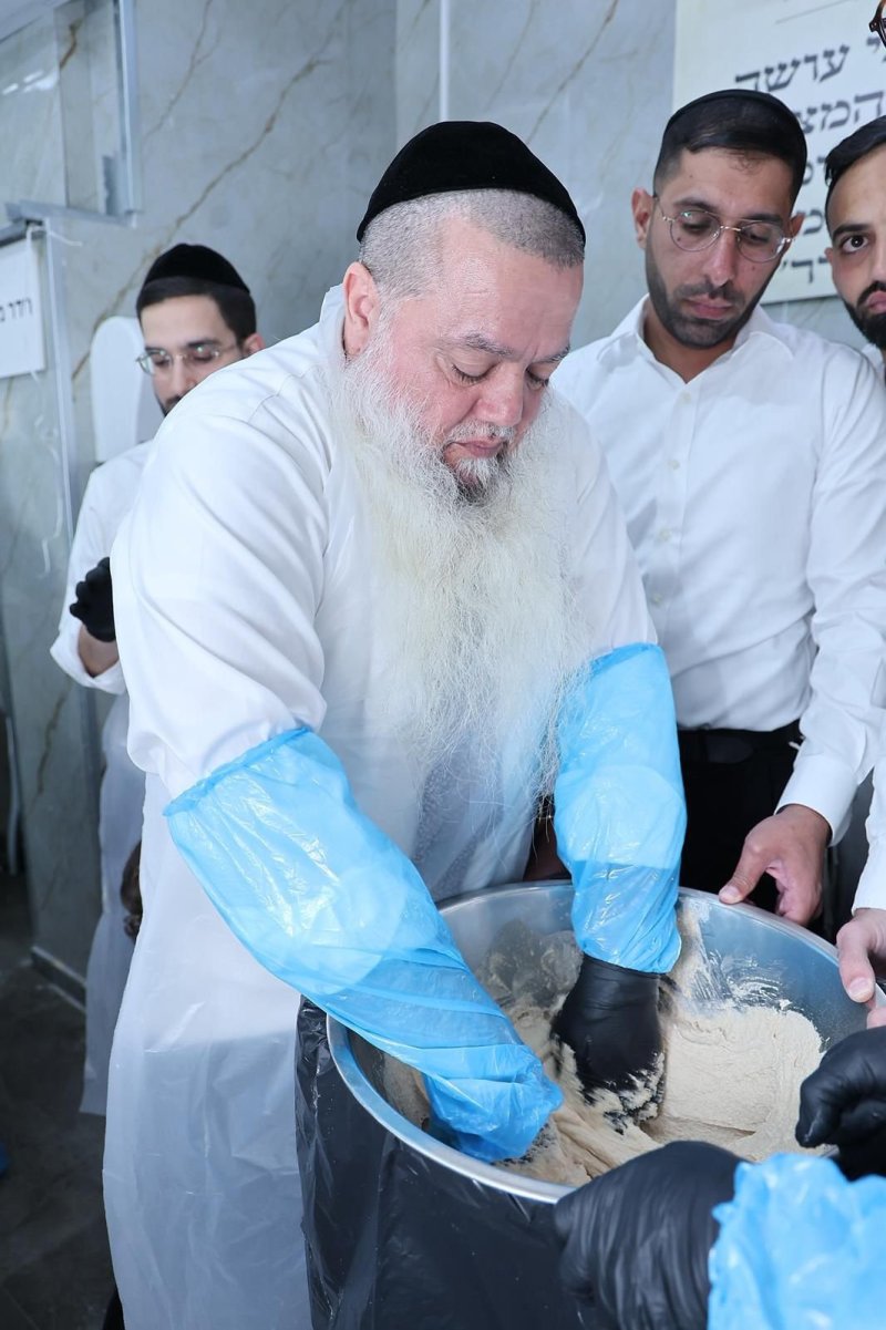 נועם אליהו