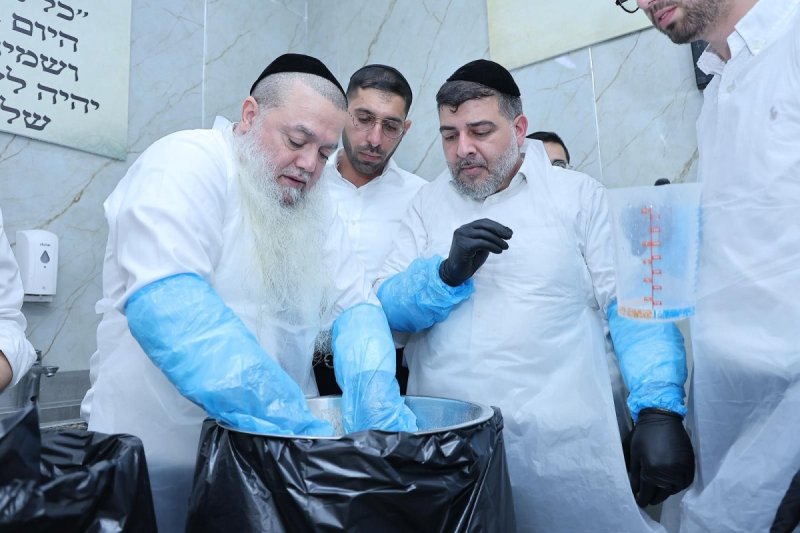 נועם אליהו