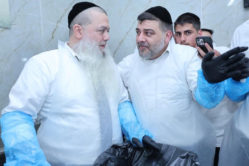 נועם אליהו
