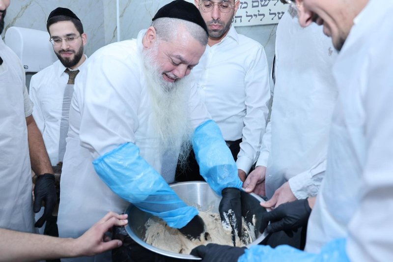 נועם אליהו