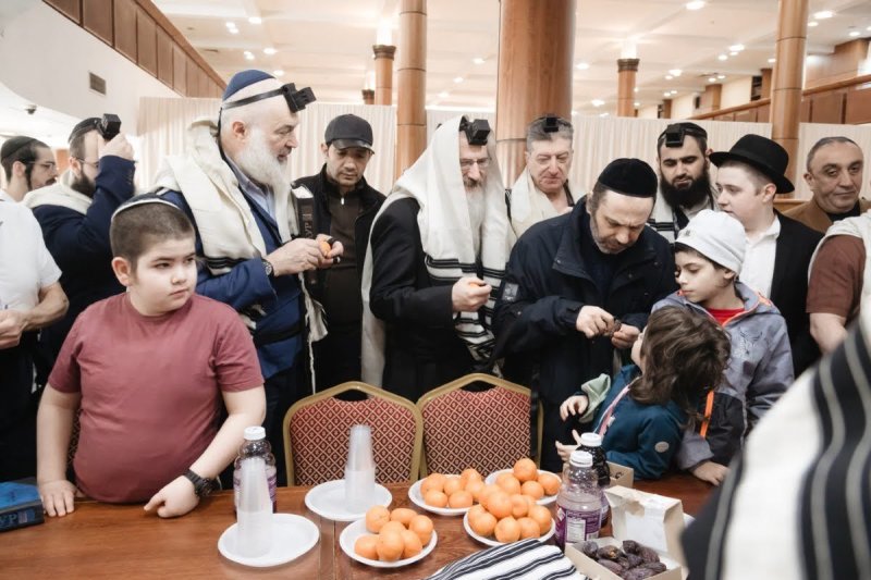 לוי נאזרוב