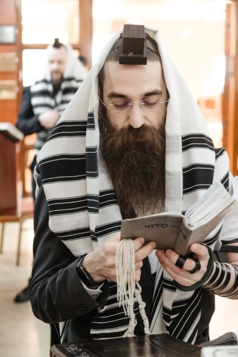 לוי נאזרוב