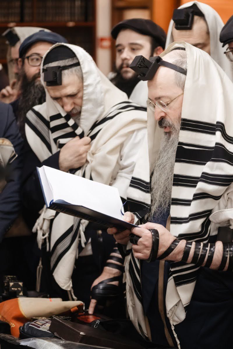 לוי נאזרוב