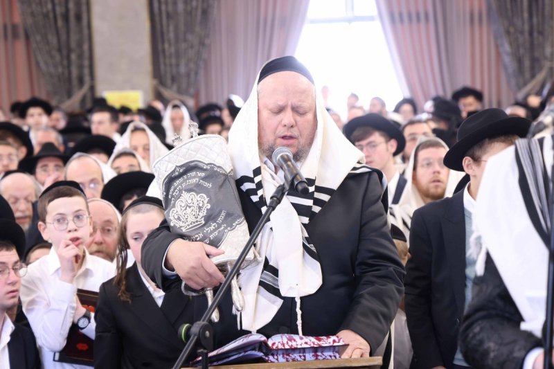 שמואל דריי