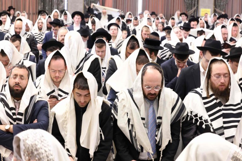 שמואל דריי