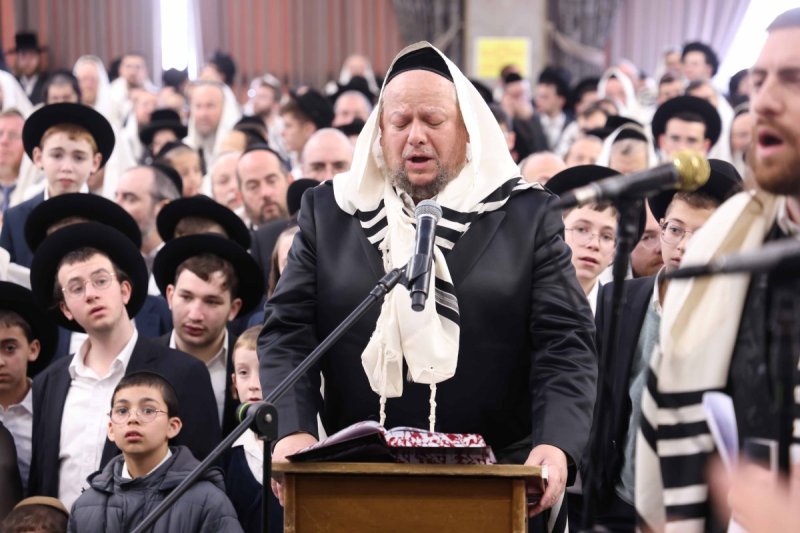 שמואל דריי