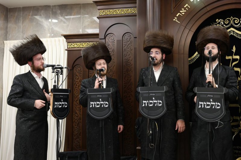 יעקב כהן