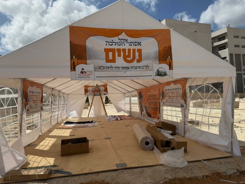 מושיק
