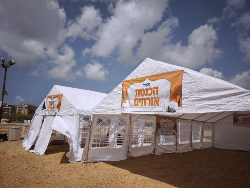 מושיק