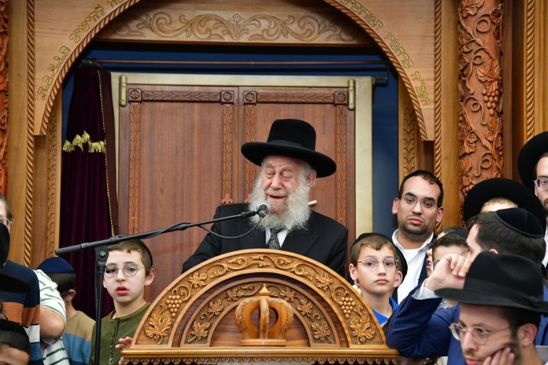 יוסי לוי