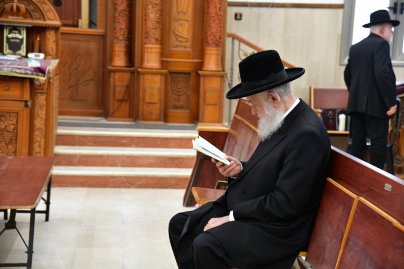 יוסי לוי