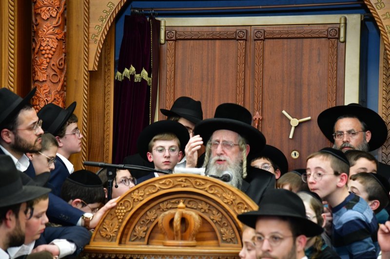 יוסי לוי