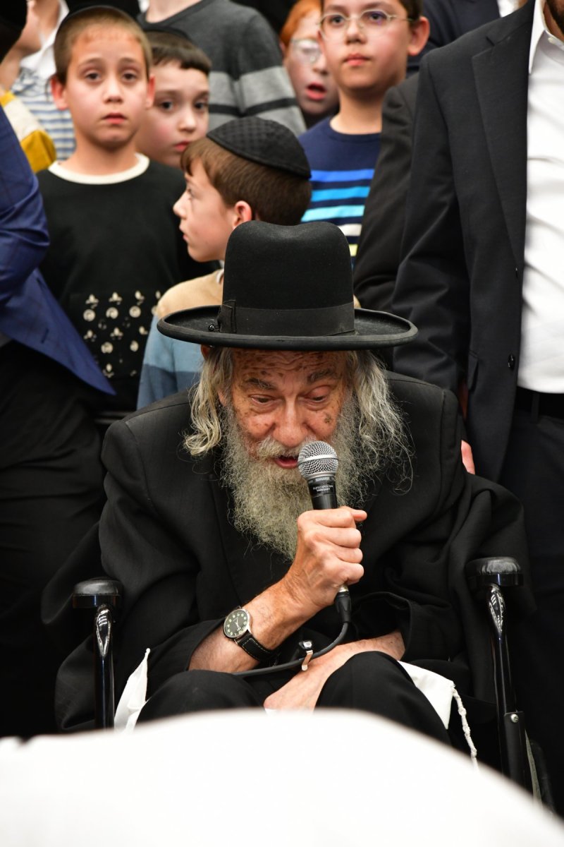 יוסי לוי