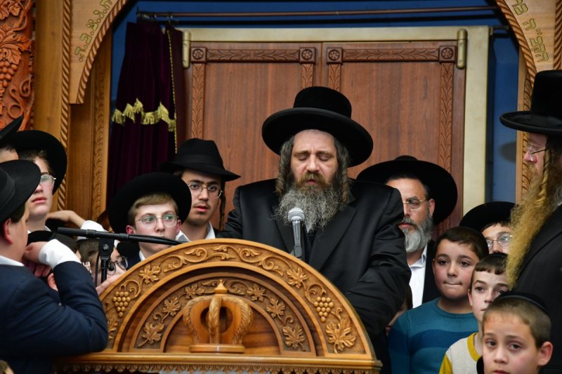 יוסי לוי