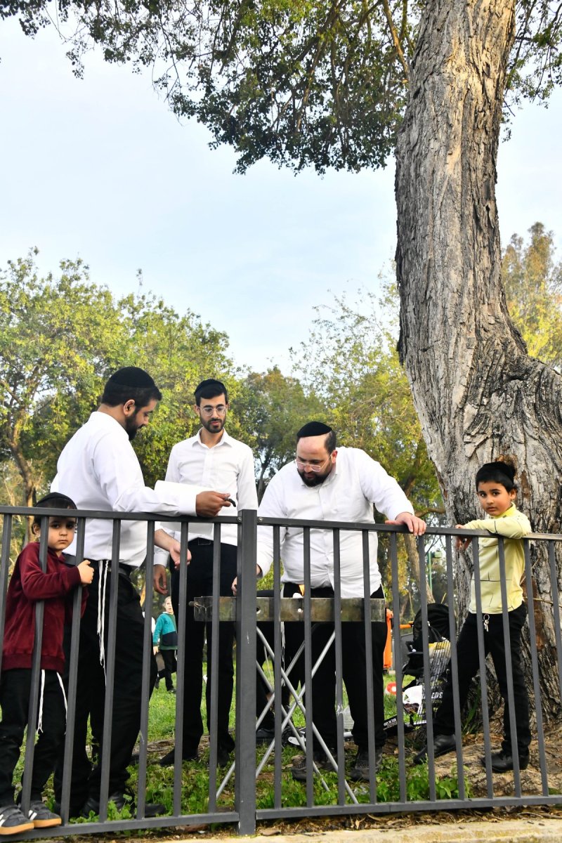 שוקי לרר