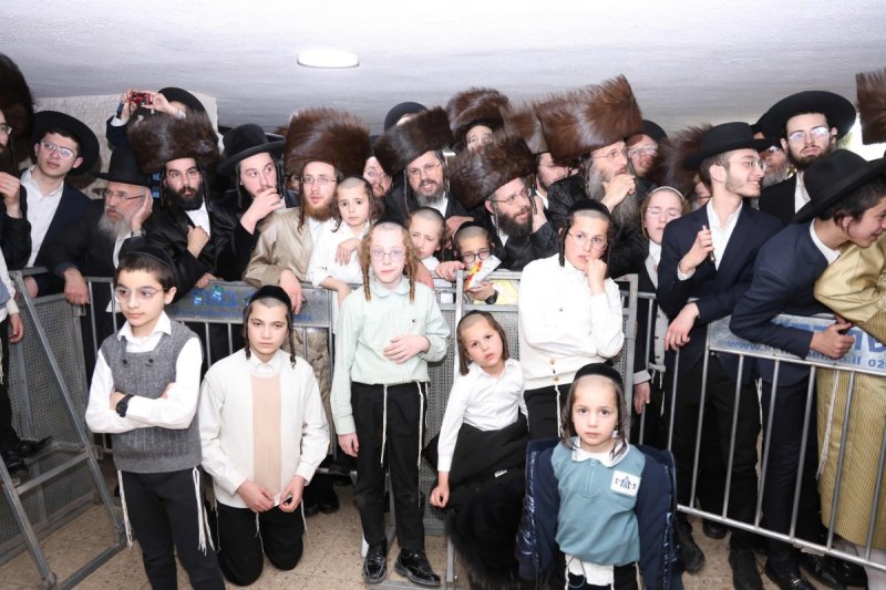 שמואל דריי