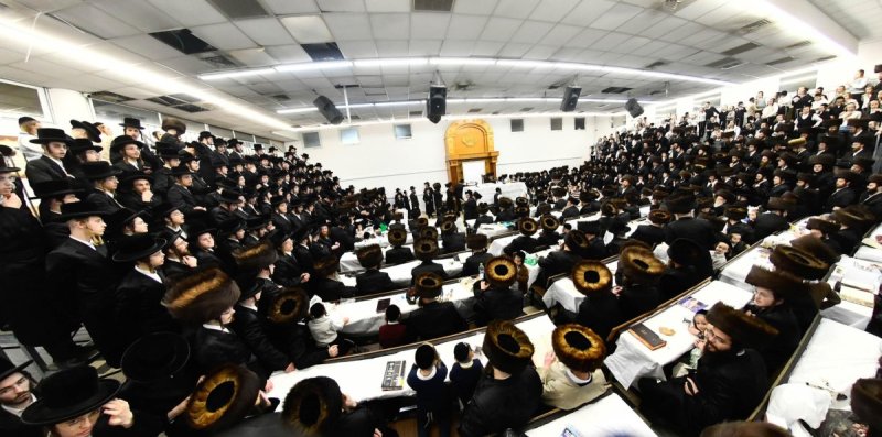 שוקי לרר