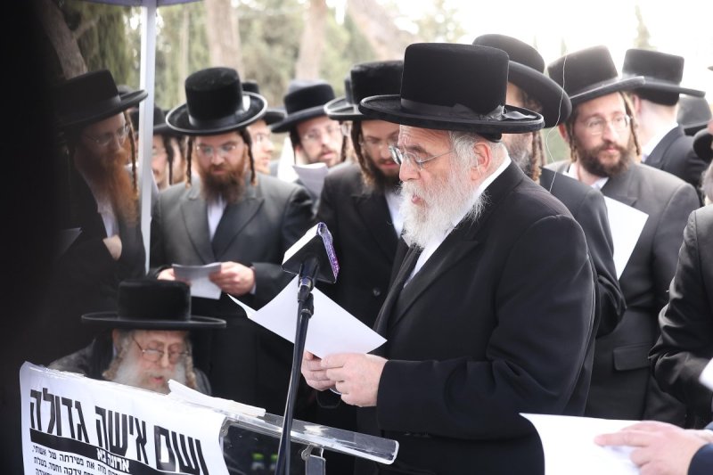 שלומי כהן