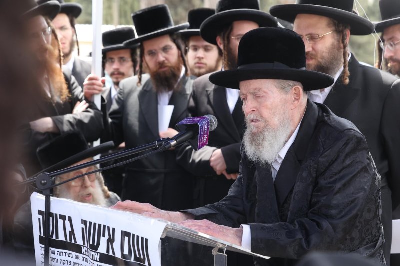 שלומי כהן