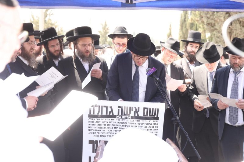 שלומי כהן