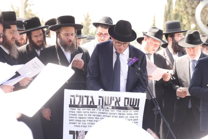 שלומי כהן