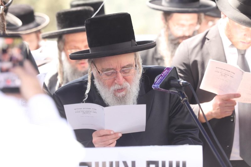 שלומי כהן