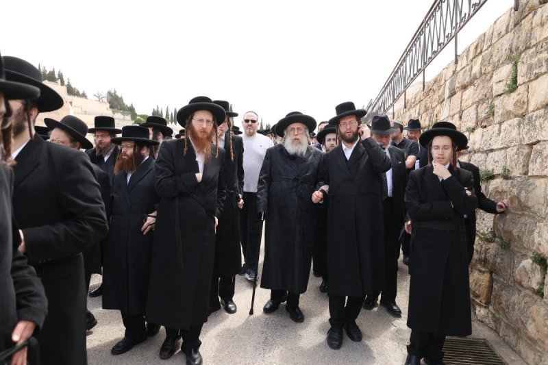 שלומי כהן
