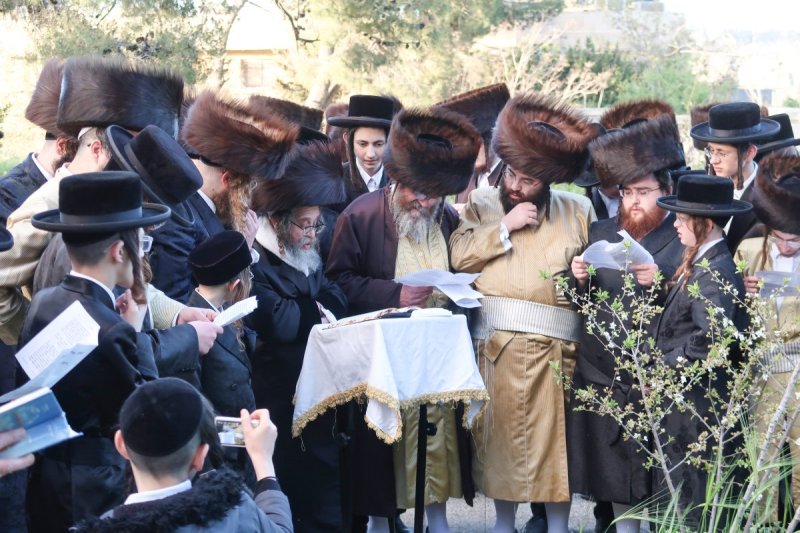מ.א. נוימן
