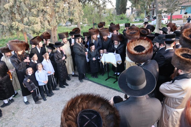 מ.א. נוימן