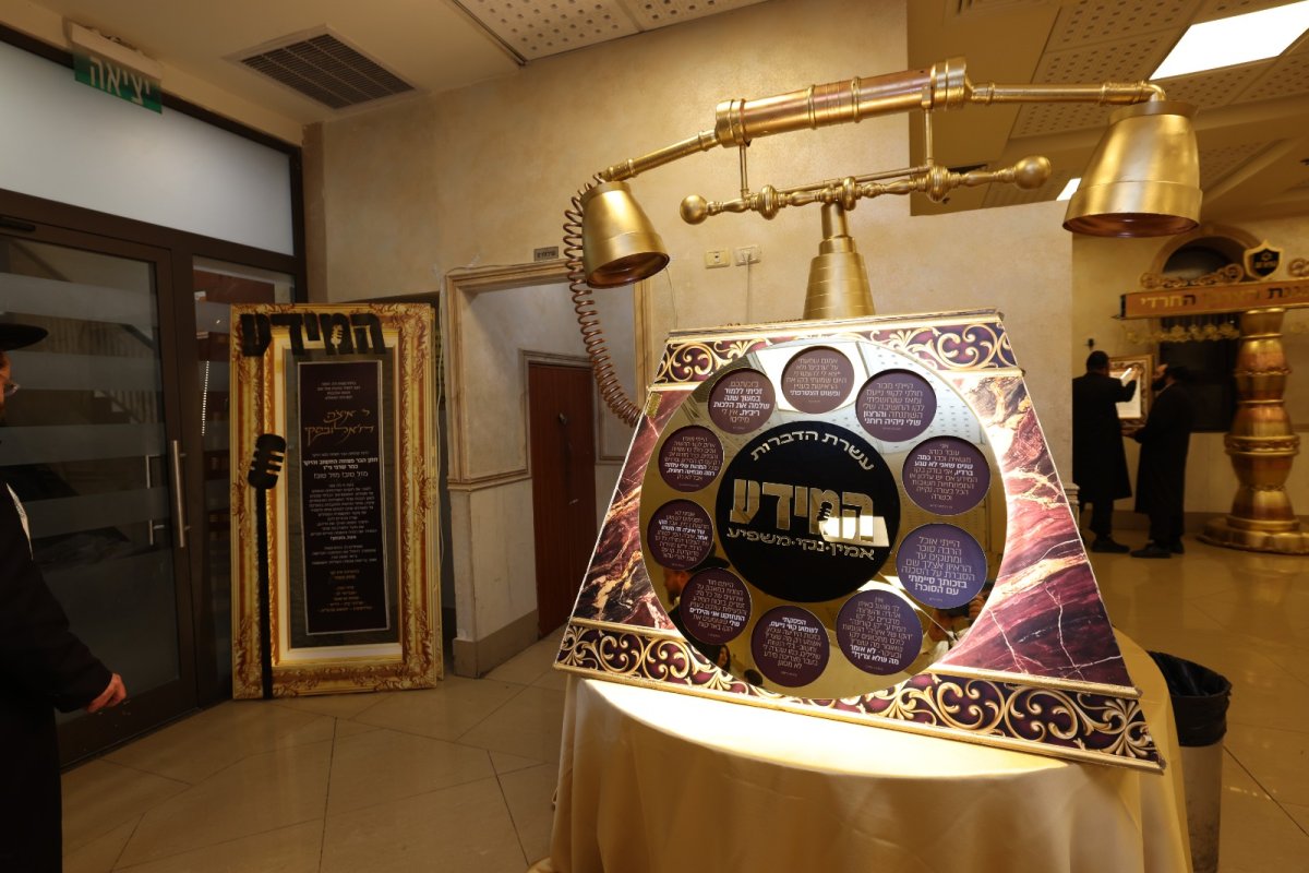 לוי עמית