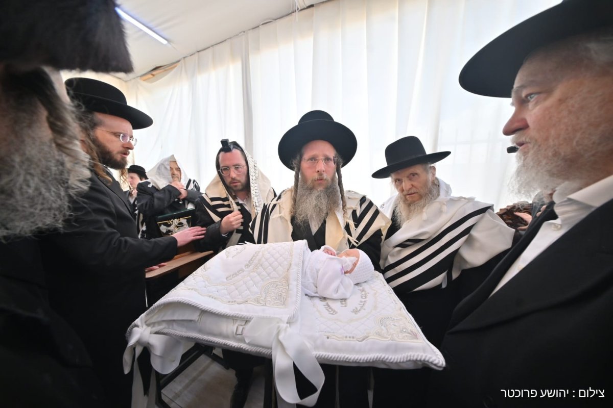 יהושע פרוכטר