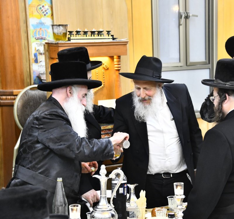 שוקי לרר