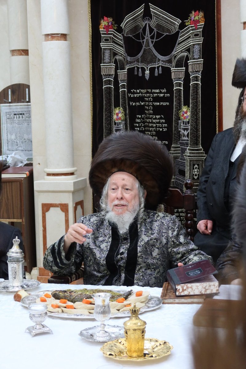שימי פ.