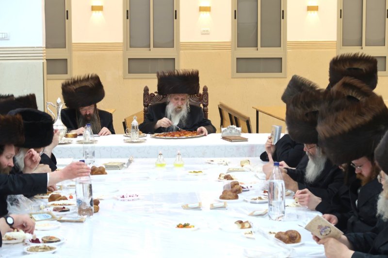 שימי פ.