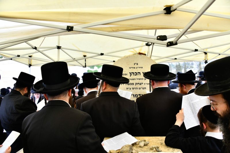 שוקי לרר