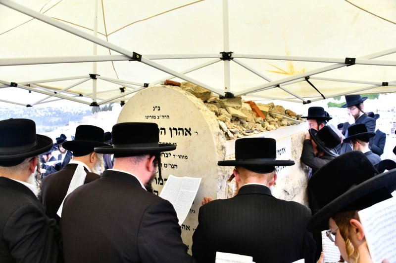 שוקי לרר