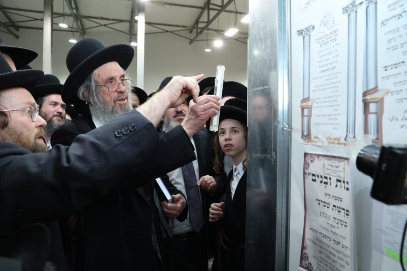 דובי קורן