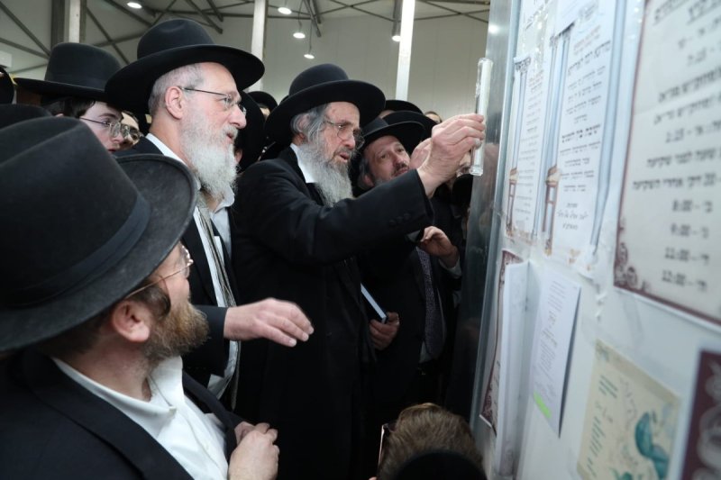 דובי קורן
