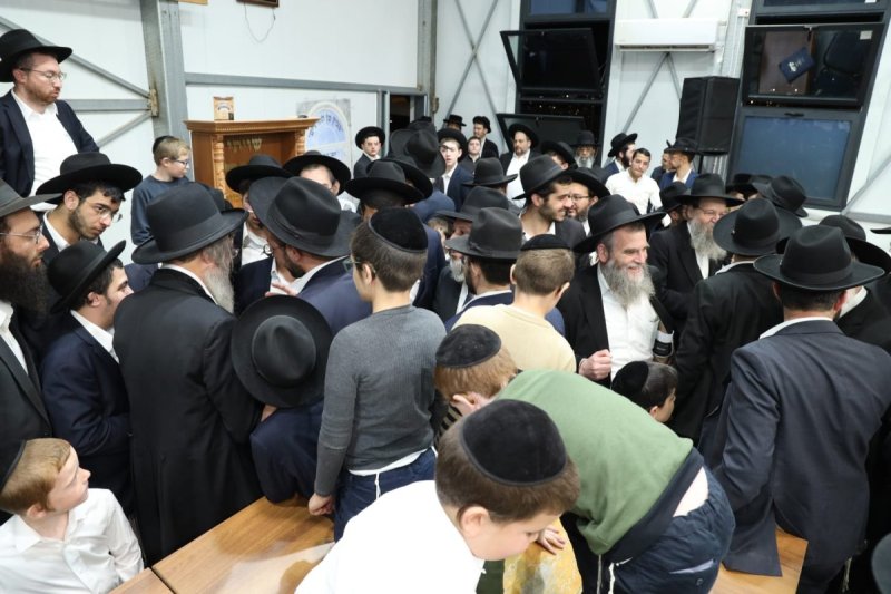 דובי קורן