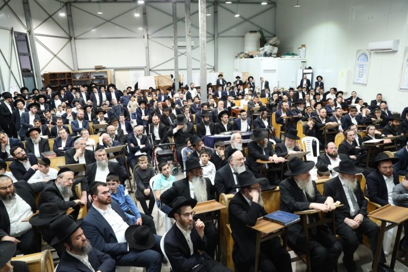 דובי קורן