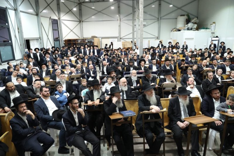 דובי קורן