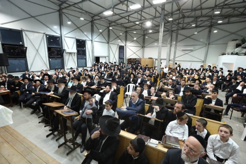 דובי קורן