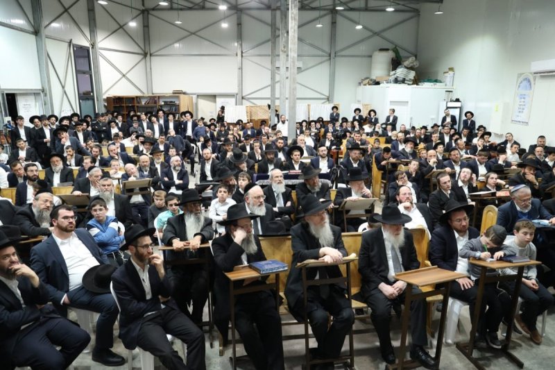 דובי קורן