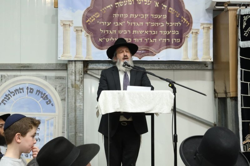 דובי קורן