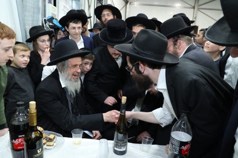 דובי קורן