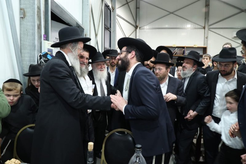דובי קורן
