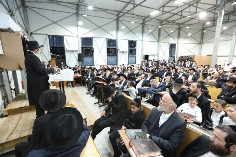 דובי קורן