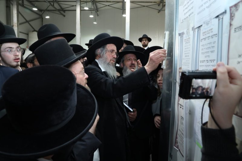 דובי קורן